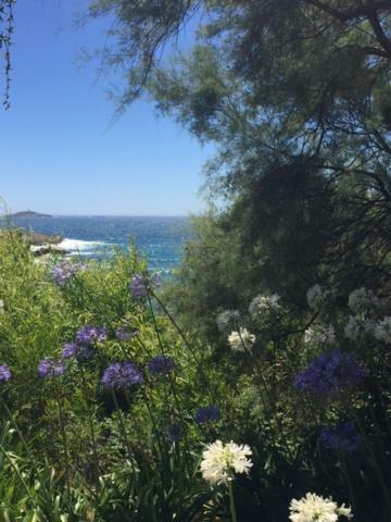 Sanary Lägenhet Exteriör bild
